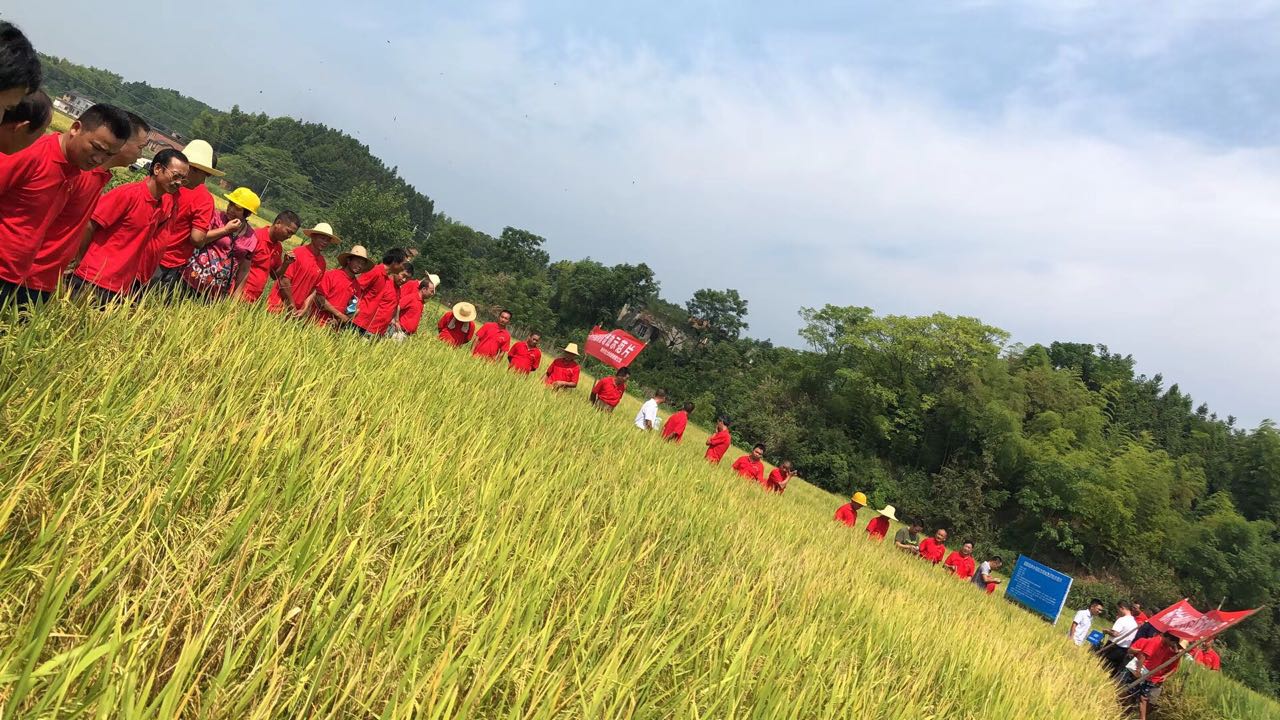 郴州市金土地化肥有限公司,湖南配方肥定點加工,林木肥銷售,有機肥質(zhì)量 郴州市金土地化肥有限公司,湖南配方肥定點加工,林木肥銷售,有機肥質(zhì)量